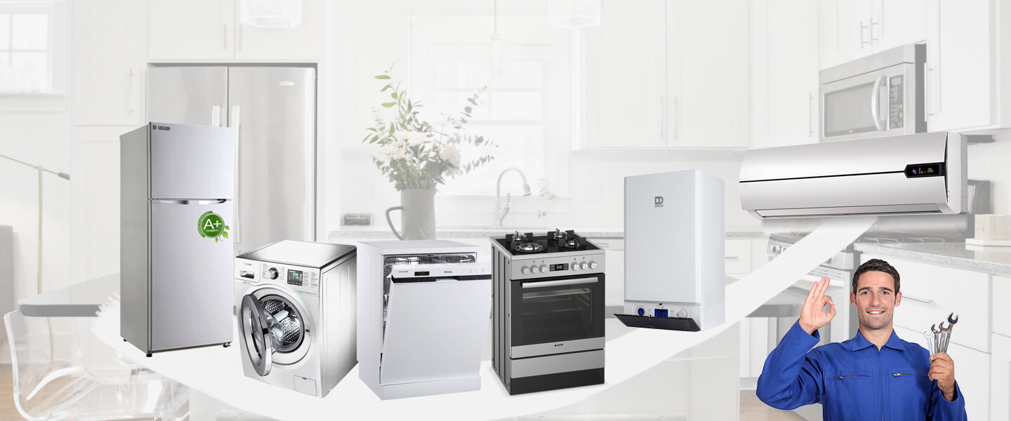 Eldivan Electrolux Servisi